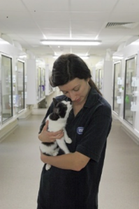 RSPCA East Berks - Lady With Cat