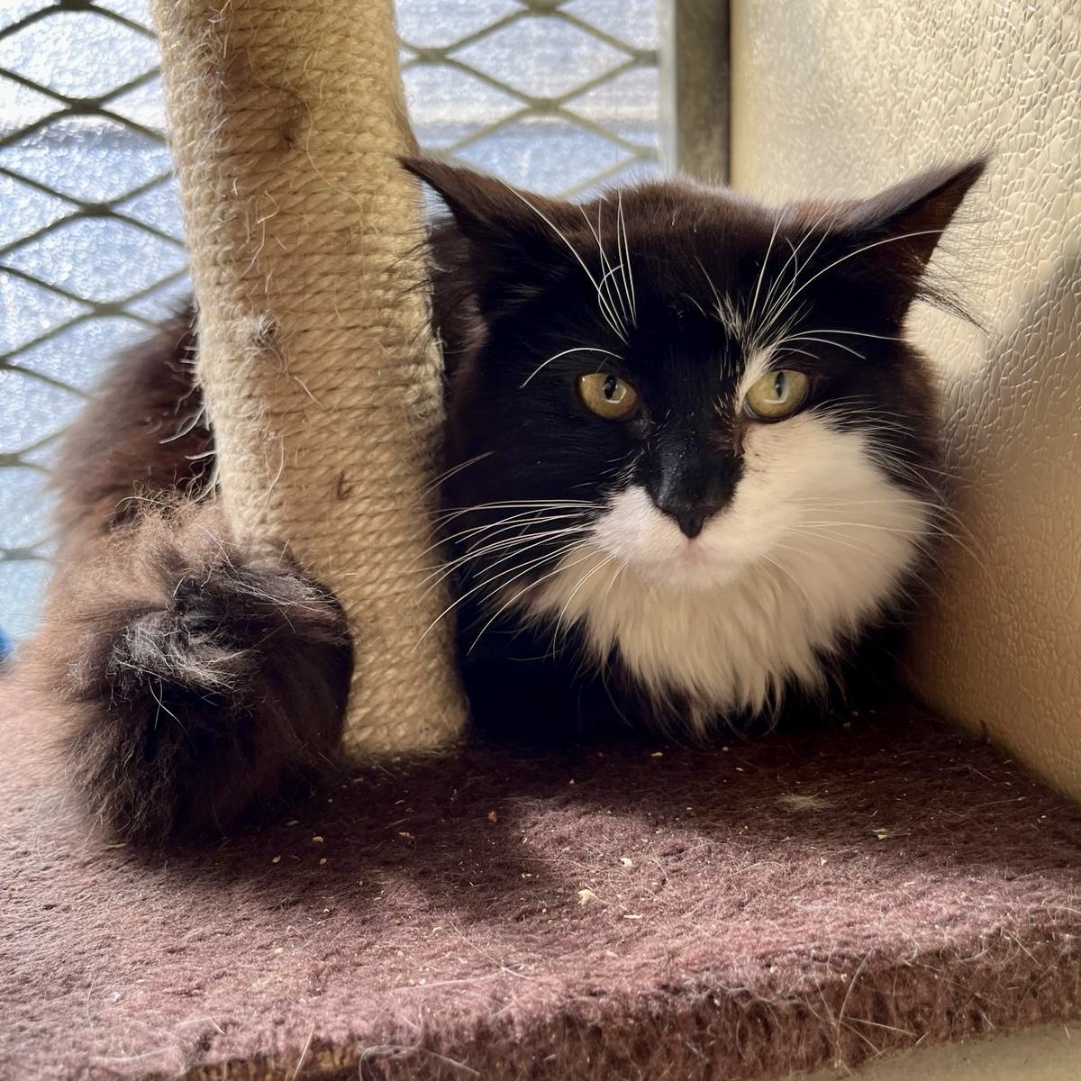 Minty & Brady RESERVED