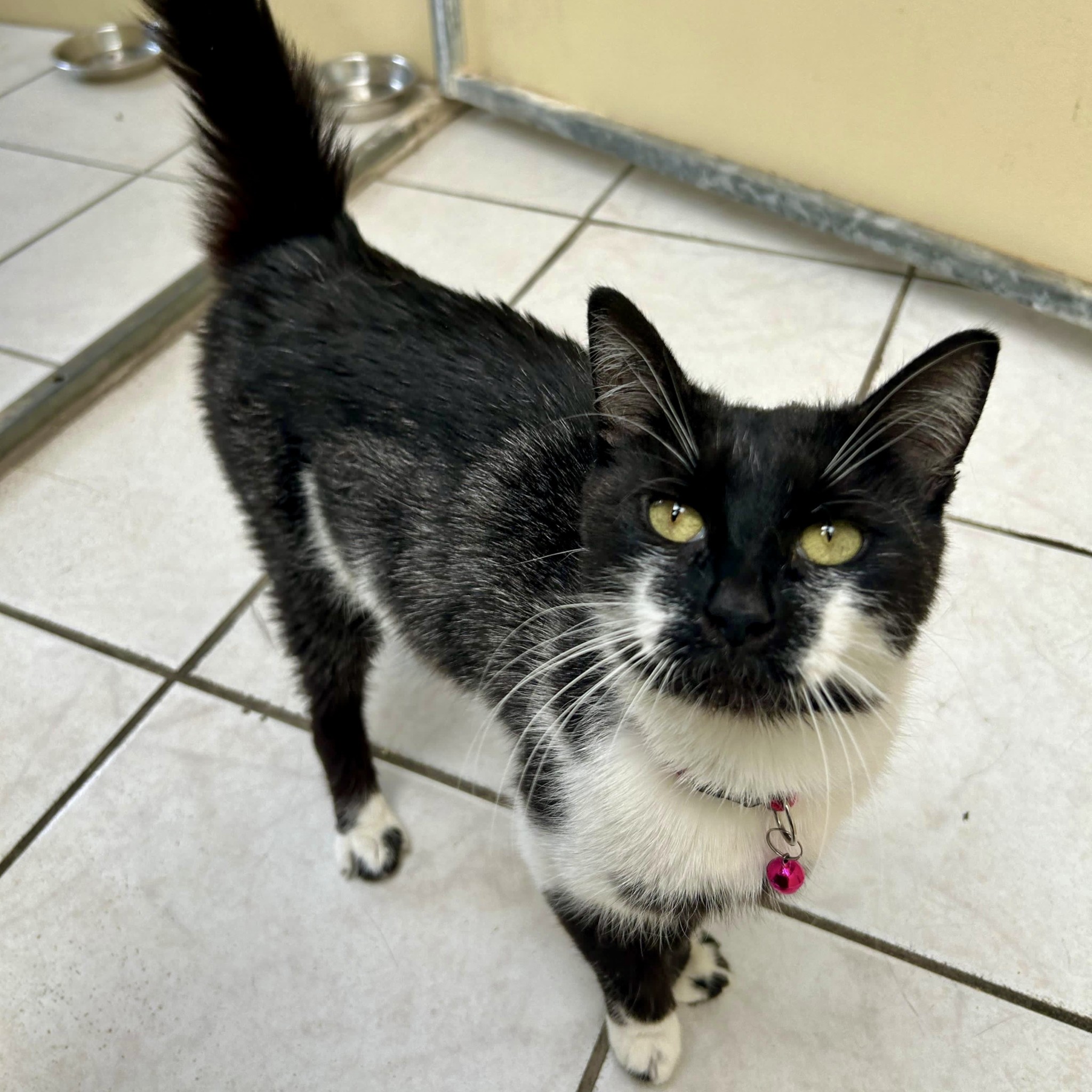 Luna RESERVED