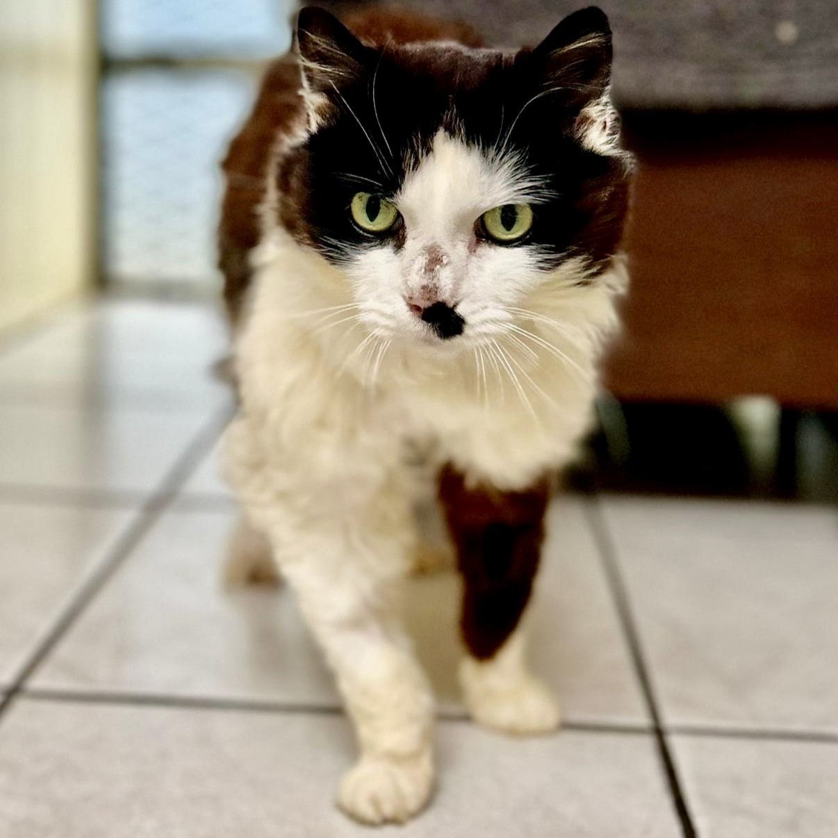 Matilda RESERVED