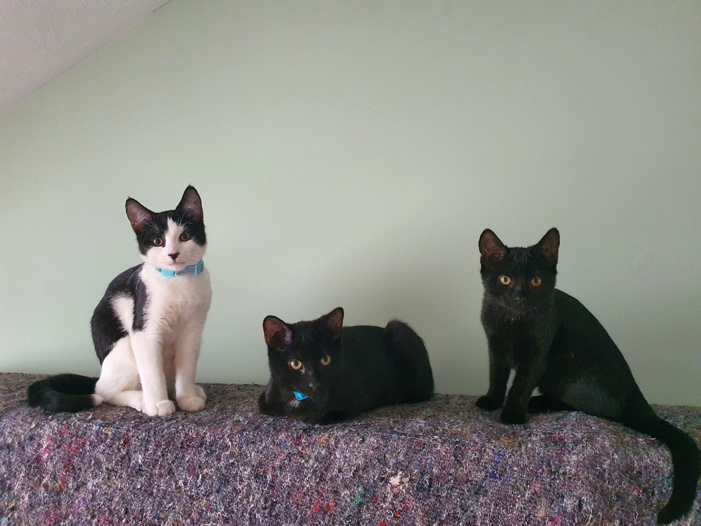 Pepper, Cayenne & Jalapeno