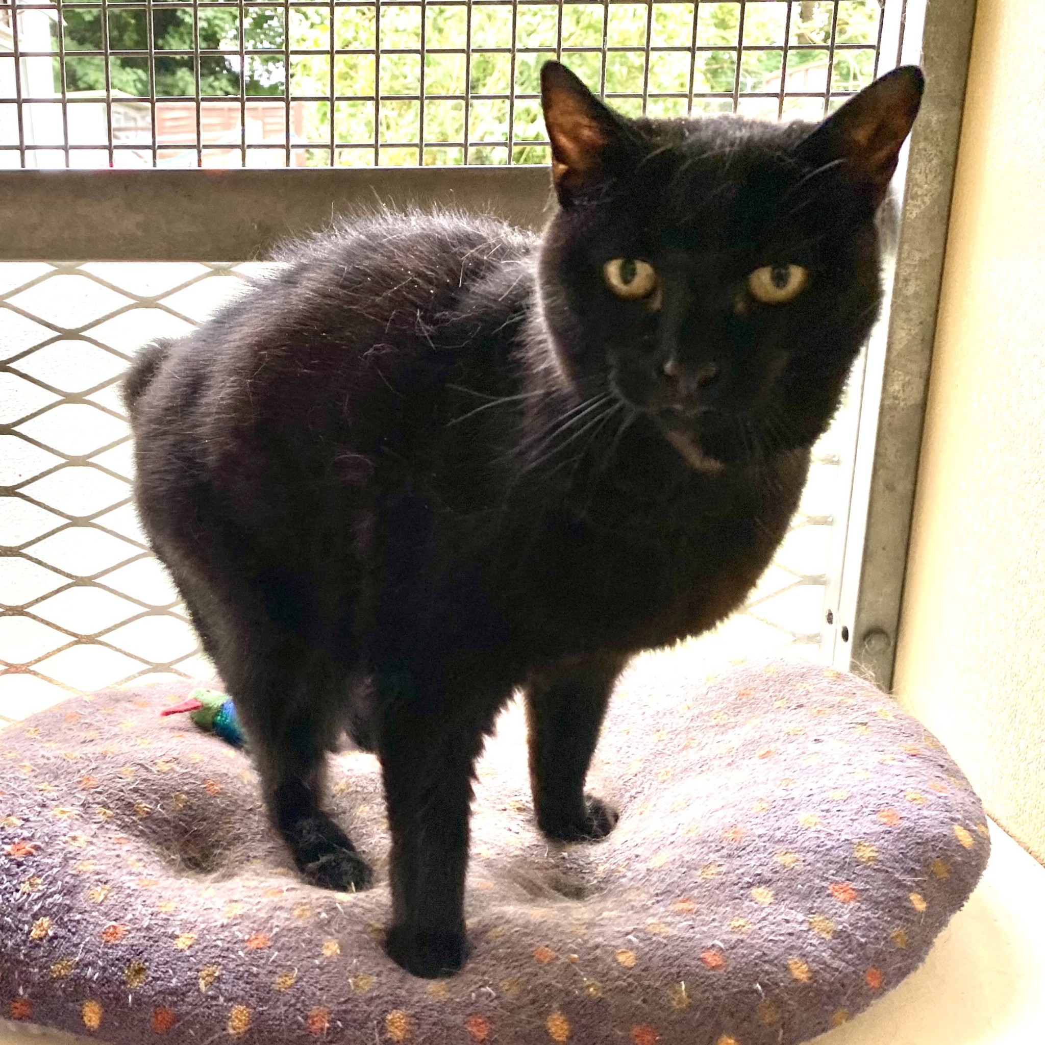 Winnie RESERVED